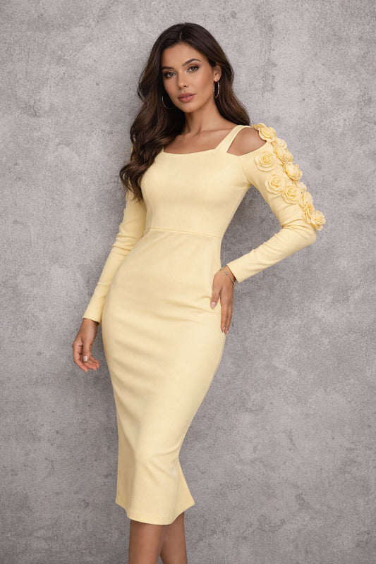 Midi dress with long sleeves